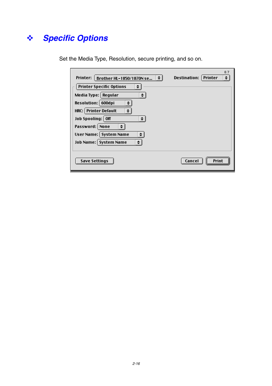 Specific options, Specific options -16 | Brother HL-1800 series User Manual | Page 62 / 204