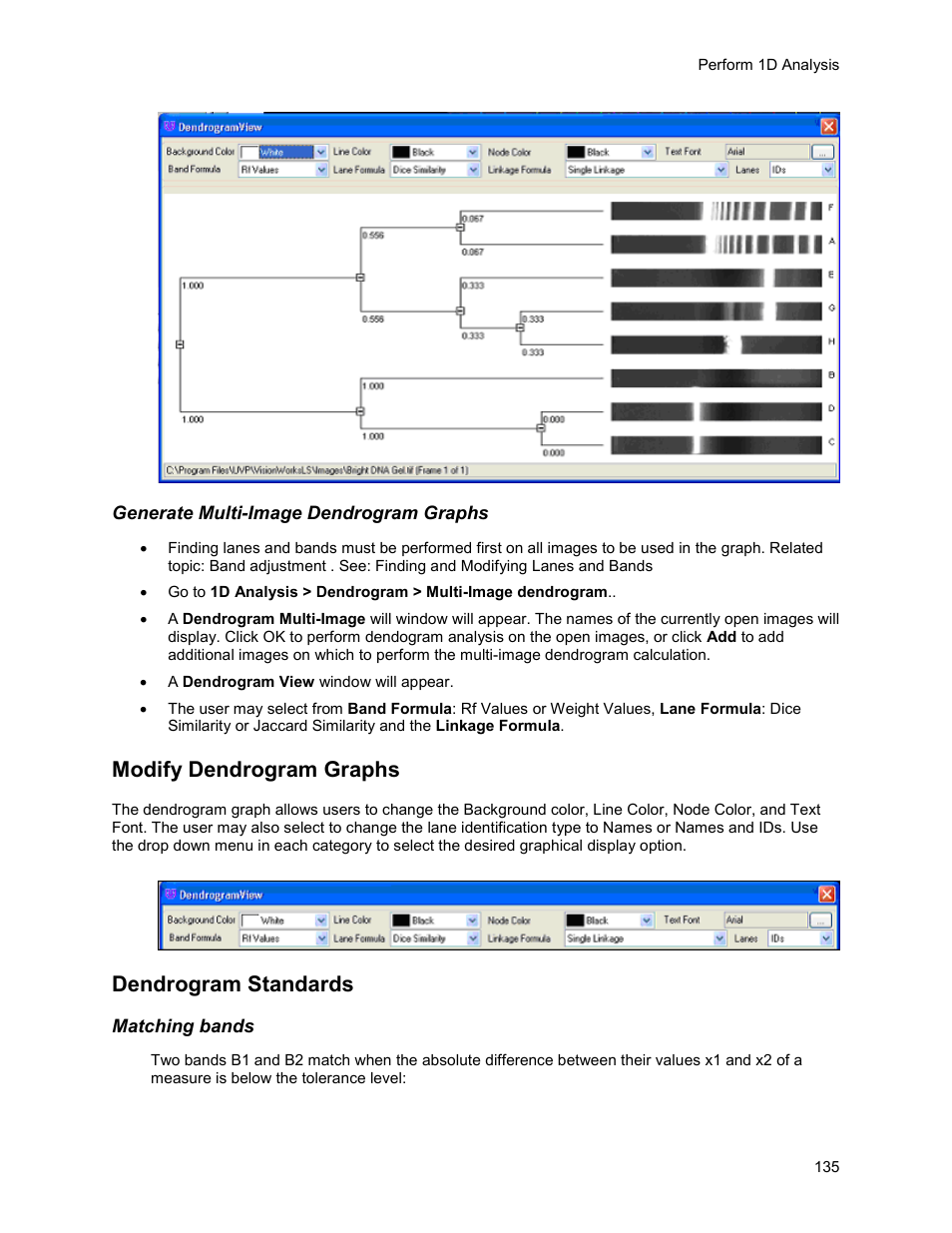 Modify dendrogram graphs, Dendrogram standards | UVP Life Science User Manual | Page 149 / 269