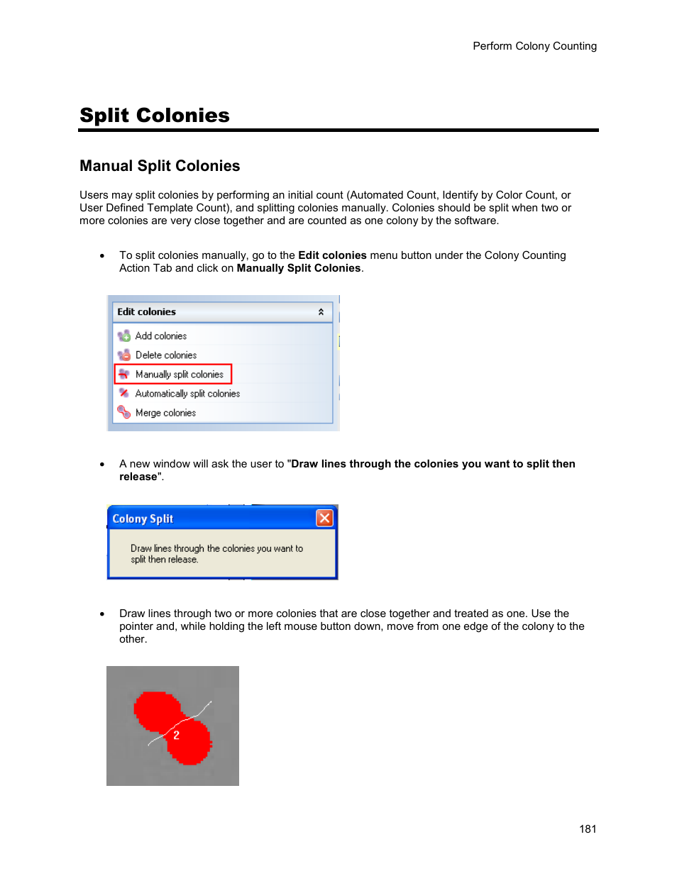 Split colonies, Manual split colonies | UVP Life Science User Manual | Page 195 / 269