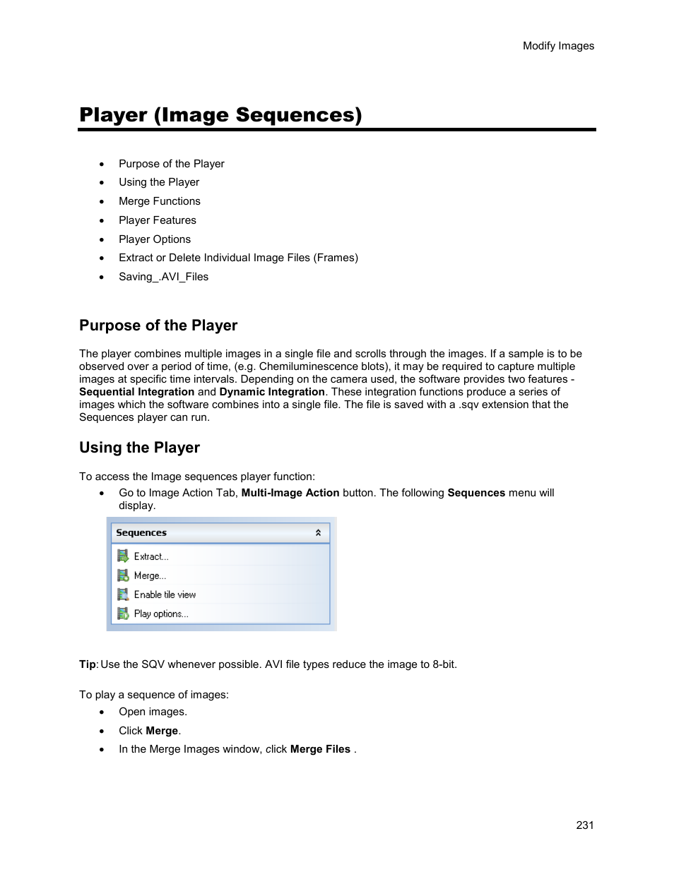 Player (image sequences), Purpose of the player, Using the player | UVP Life Science User Manual | Page 245 / 269