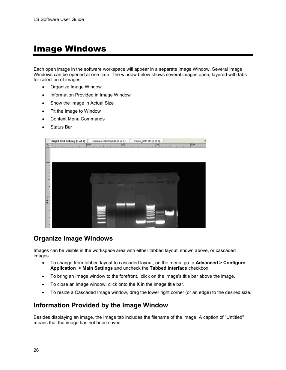 Image windows, Organize image windows, Information provided by the image window | UVP Life Science User Manual | Page 40 / 269