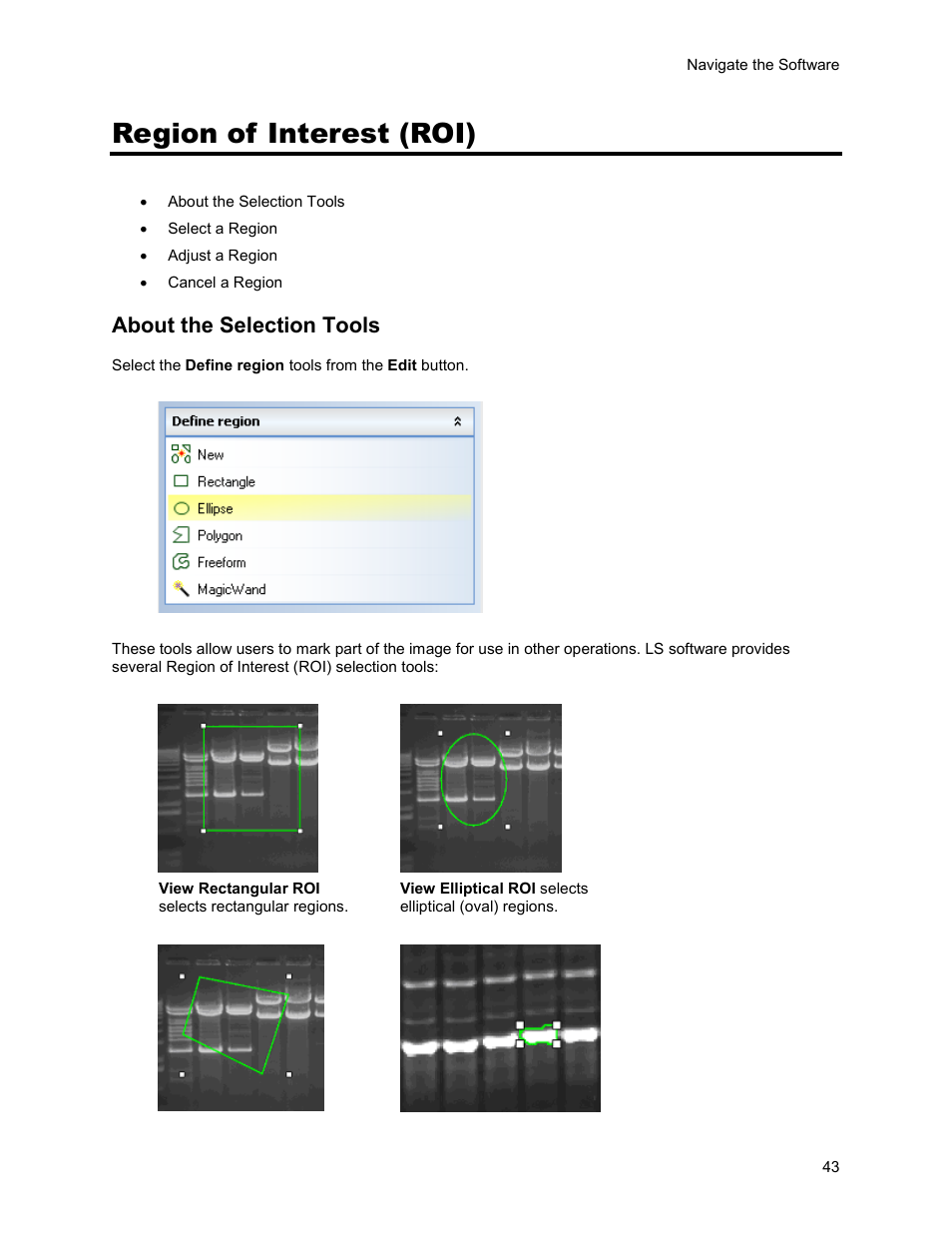 Region of interest (roi), About the selection tools | UVP Life Science User Manual | Page 57 / 269