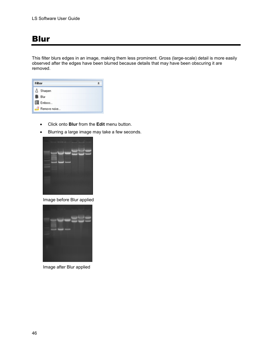 Blur | UVP Life Science User Manual | Page 60 / 269