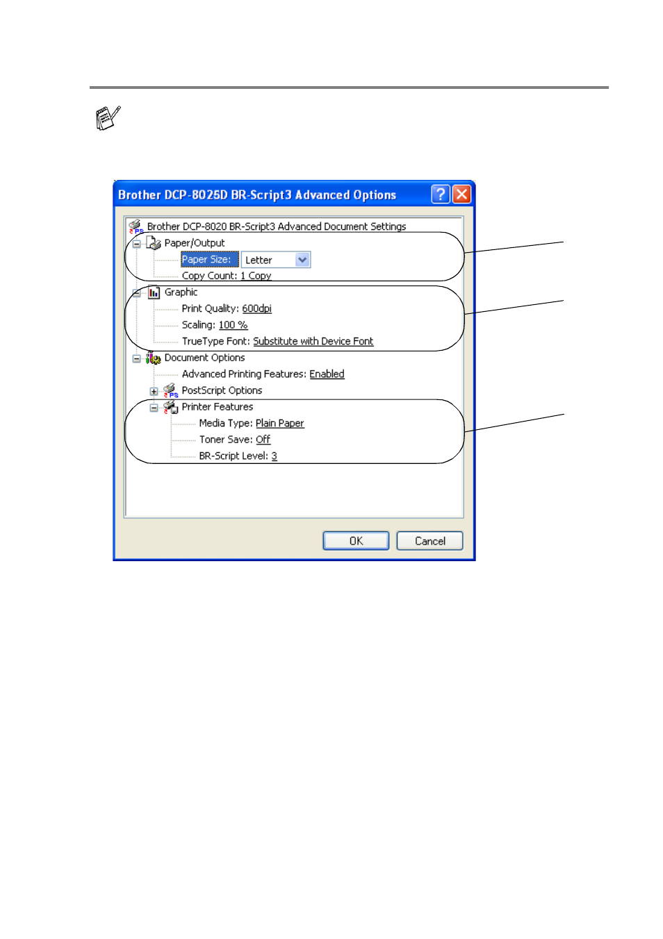 Advanced options, Advanced options -22 | Brother DCP8020 User Manual | Page 117 / 282