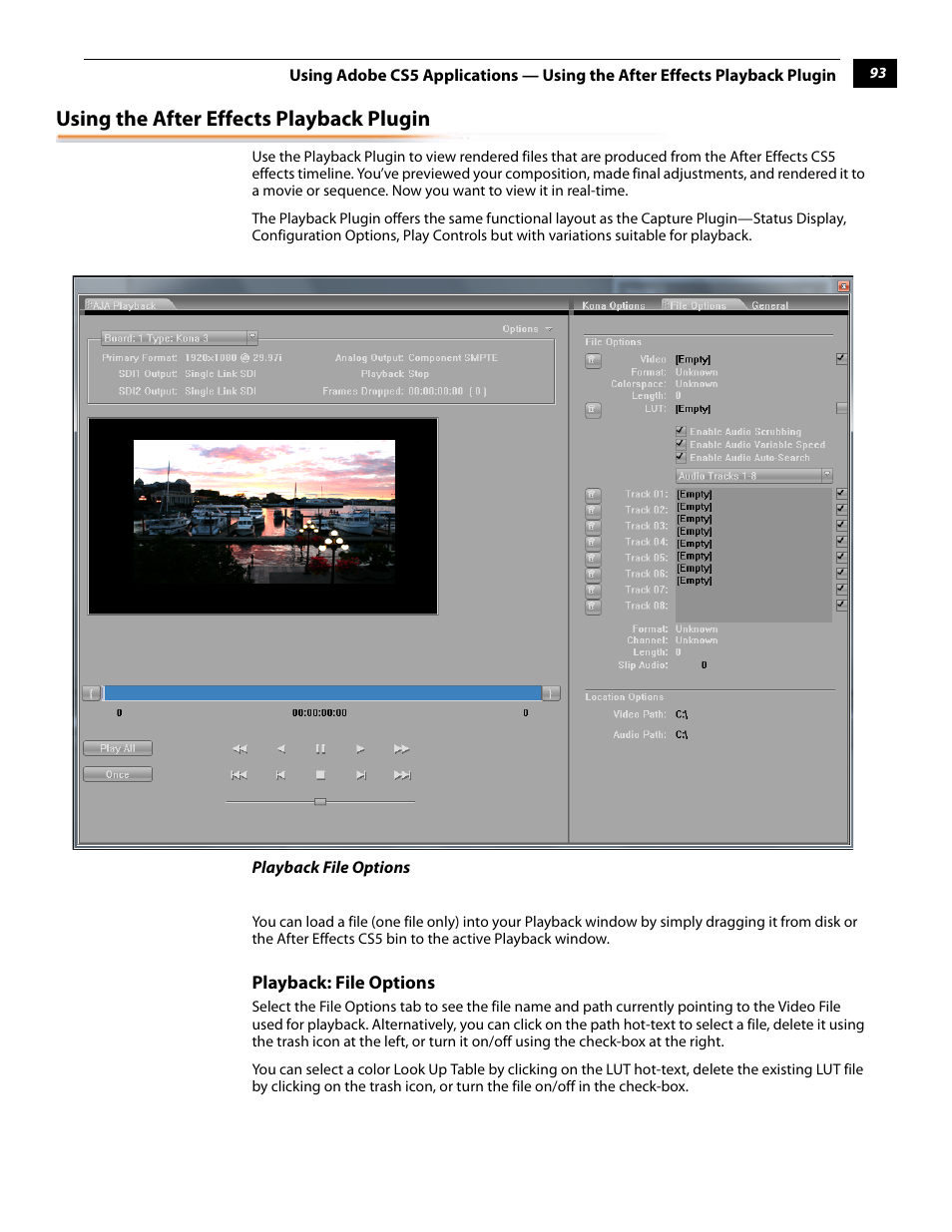 Using the after effects playback plugin, Playback: file options | AJA KONA 5.0 User Manual | Page 103 / 128