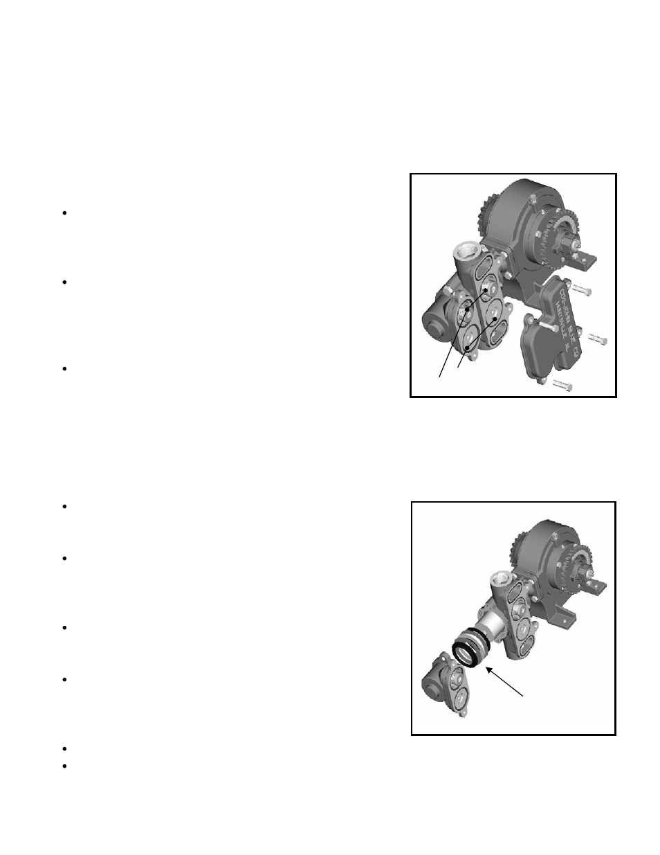 Service maintenance | Great Plains CDS-JohnBlue NGP Series Pumps User Manual | Page 10 / 24