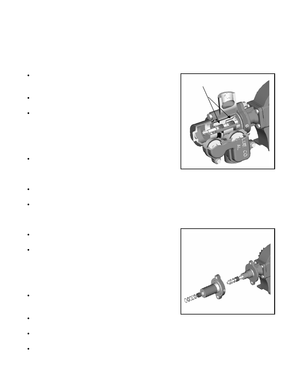 Great Plains CDS-JohnBlue NGP Series Pumps User Manual | Page 11 / 24