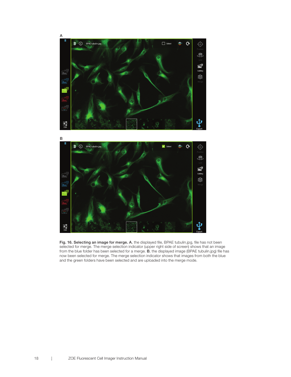 Bio-Rad ZOE™ Fluorescent Cell Imager User Manual | Page 26 / 36