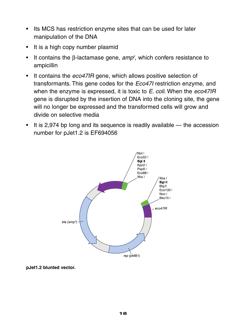 Bio-Rad Ligation and Transformation Module User Manual | Page 22 / 60
