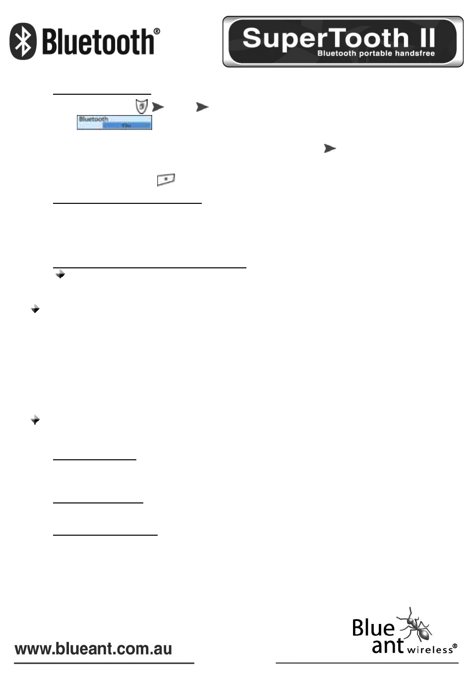 BlueAnt Bluetooth SUPERTOOTH II User Manual | Page 61 / 70