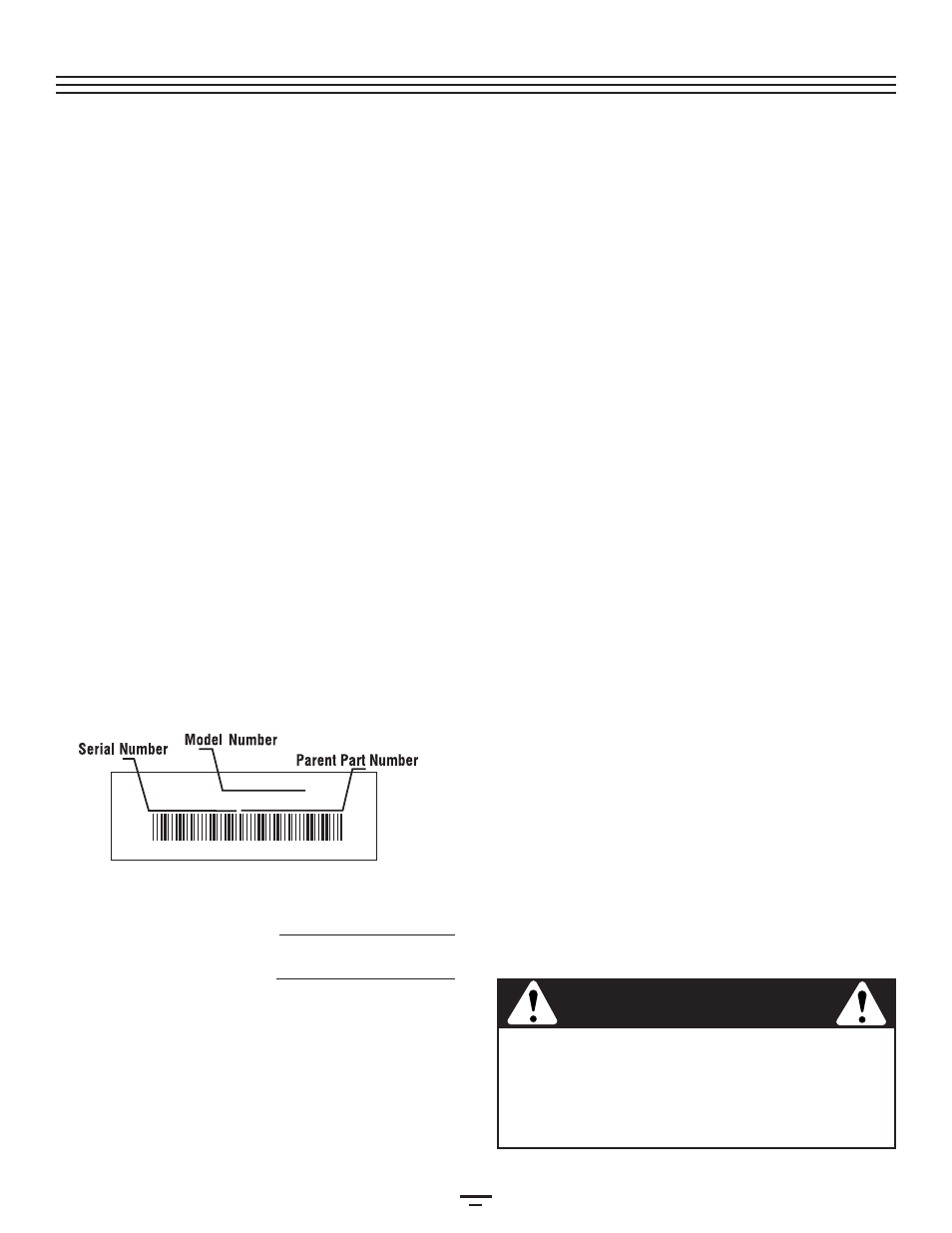 Introduction, Warning | Bolens BL250 User Manual | Page 2 / 80