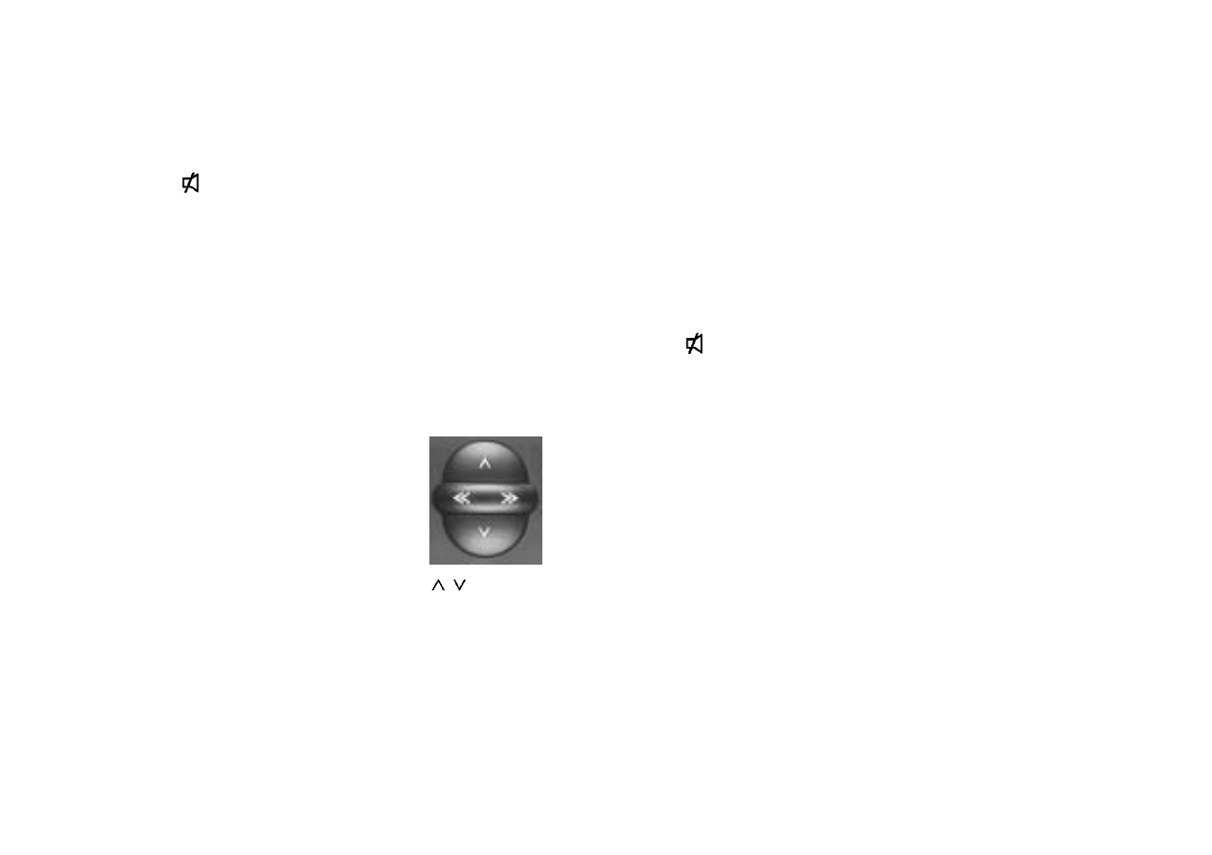 Dsc programming | Blaupunkt SYDNEY RCM 128 User Manual | Page 24 / 28