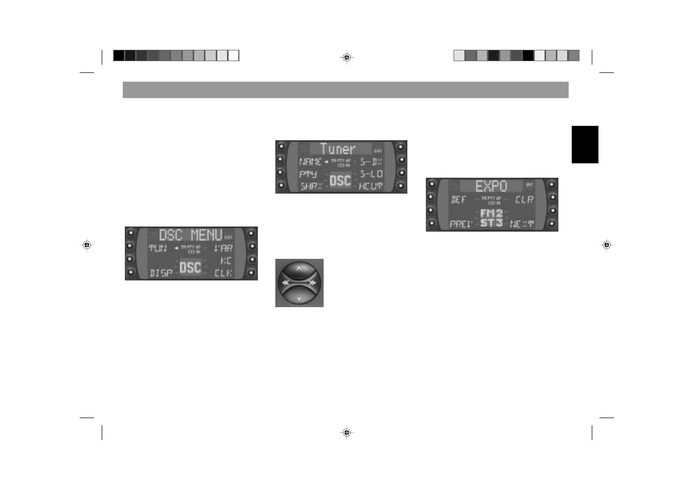 Dsc programming | Blaupunkt ATLANTA RCM 169 User Manual | Page 41 / 50