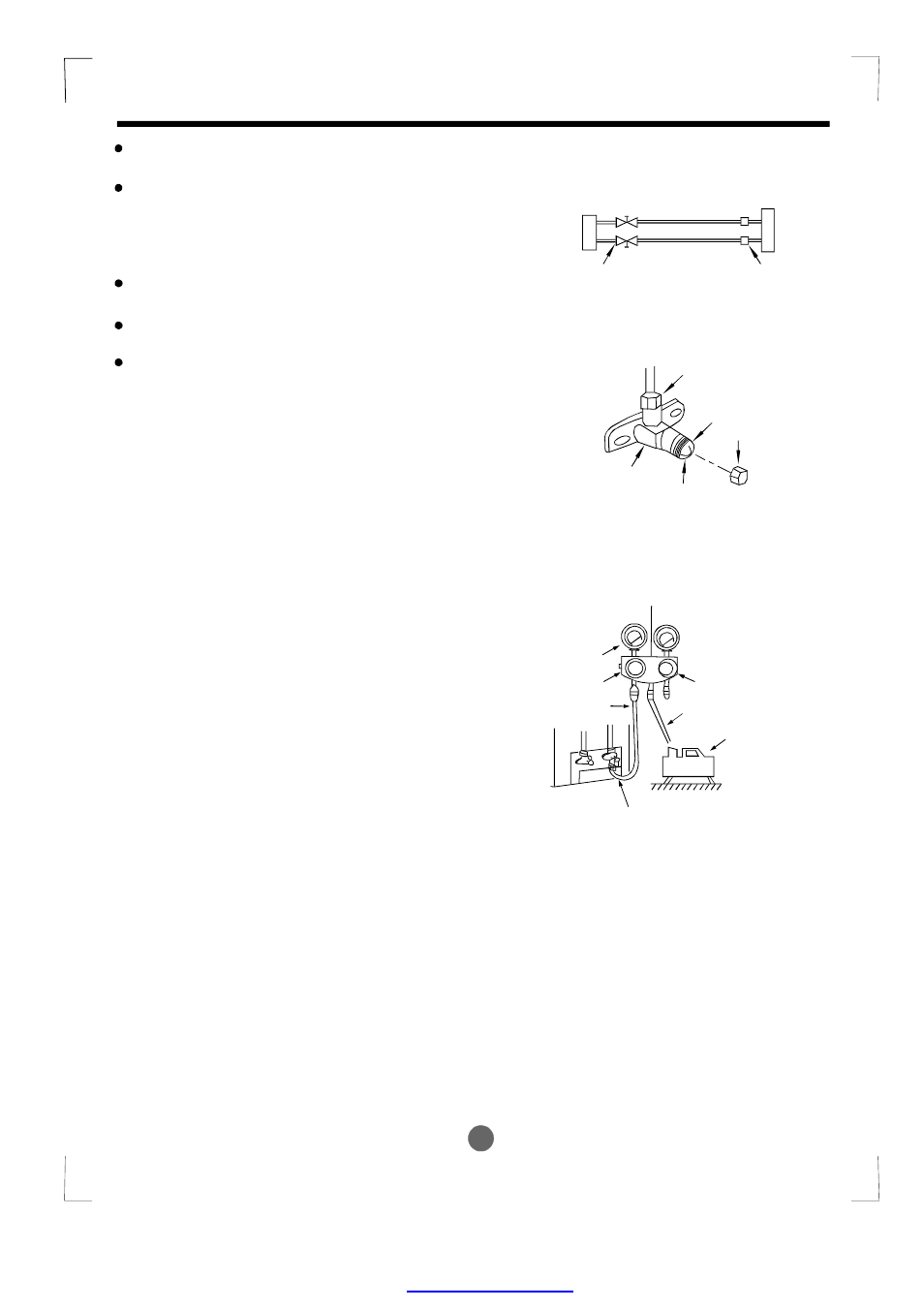 24 air purging | Pridiom Solar Series Installation Manual User Manual | Page 25 / 27