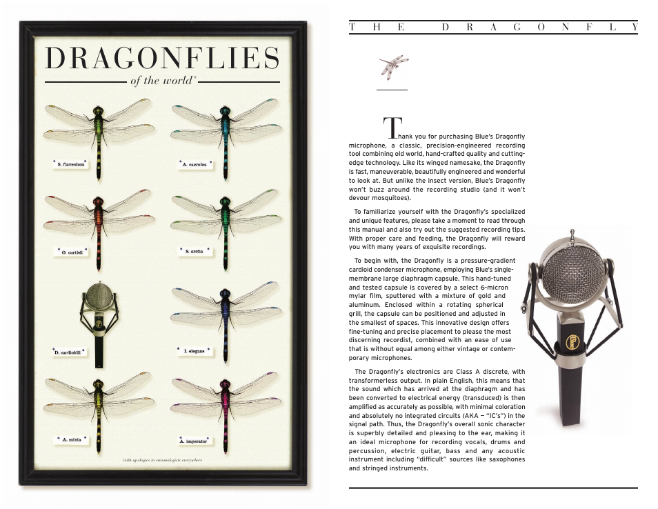 D r agon fli es, Of the world | Blue Microphones Dragonfly Microphones User Manual | Page 2 / 4