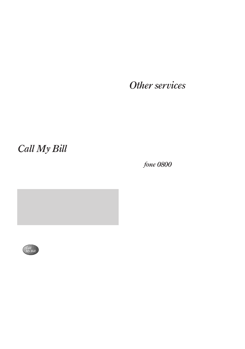 Call my bill, Other services | BT Freestyle 130 User Manual | Page 21 / 38