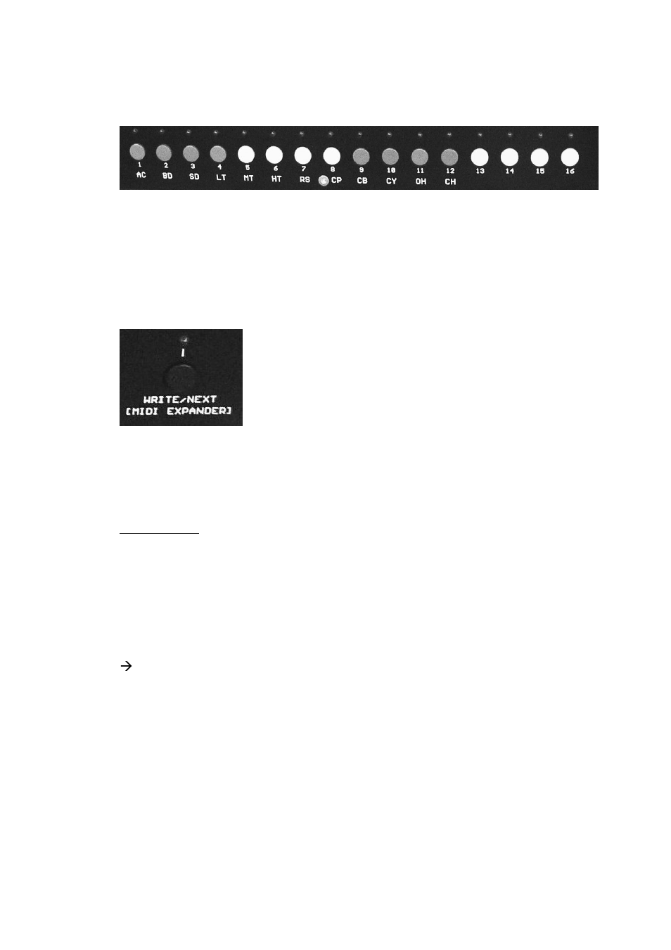 acidlab Miami User Manual | Page 19 / 23