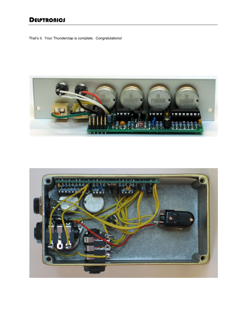 Delptronics Thunderclap User Manual | Page 10 / 11