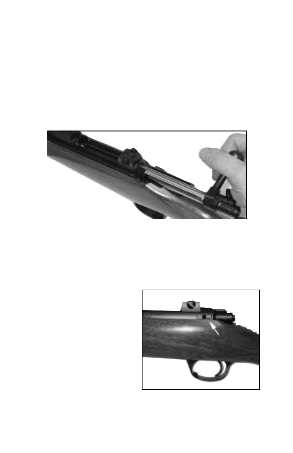 Kimber Model 84M User Manual | Page 10 / 24
