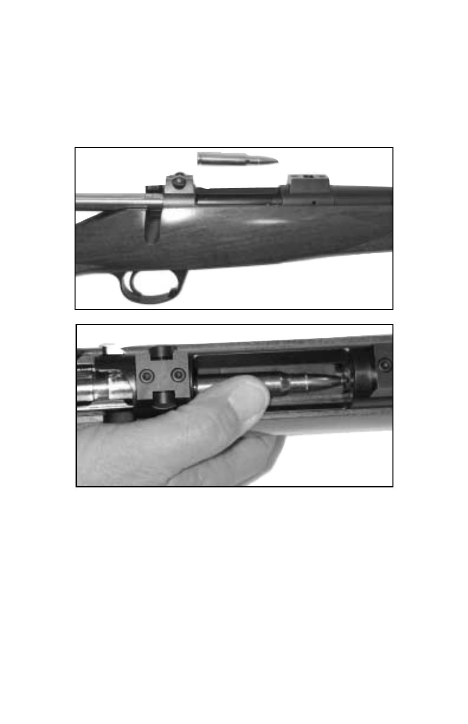Kimber Model 84M User Manual | Page 14 / 24