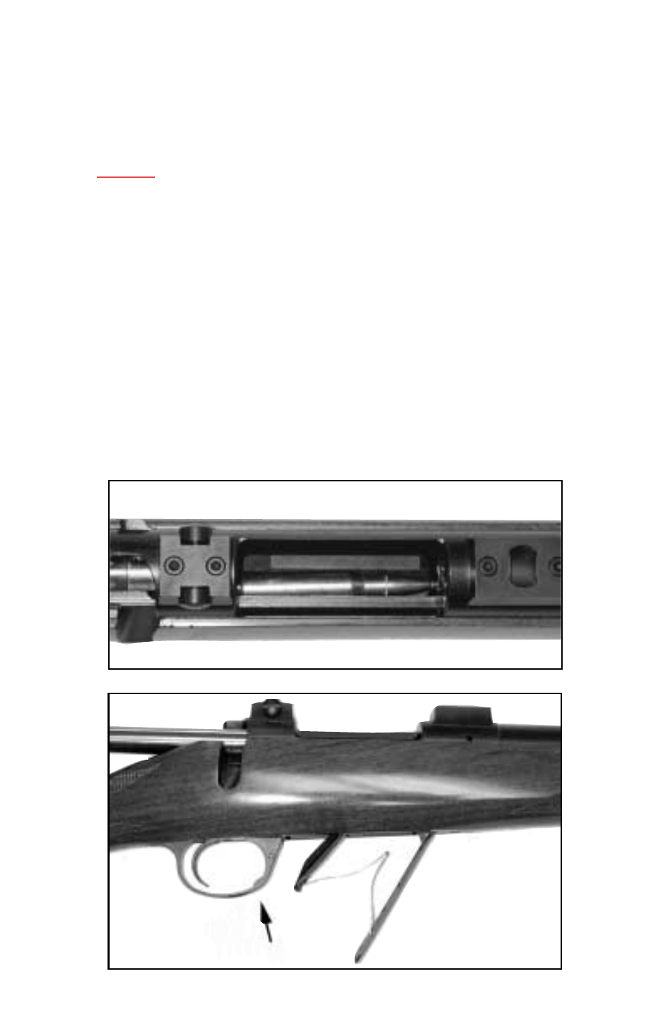 Kimber Model 84M User Manual | Page 15 / 24