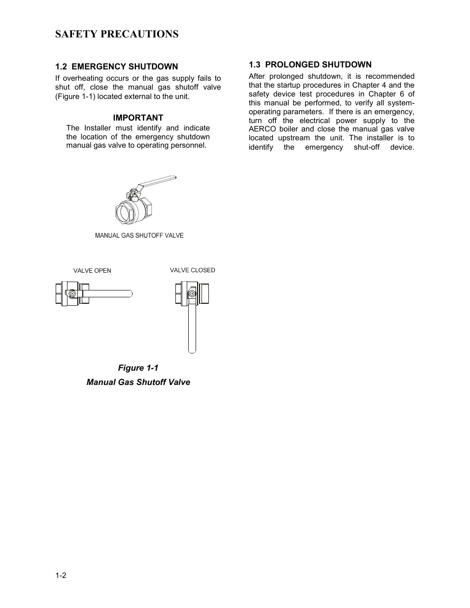 Safety precautions | AERCO BMK 1.5 LN Dual Fuel June 2010 User Manual | Page 10 / 139
