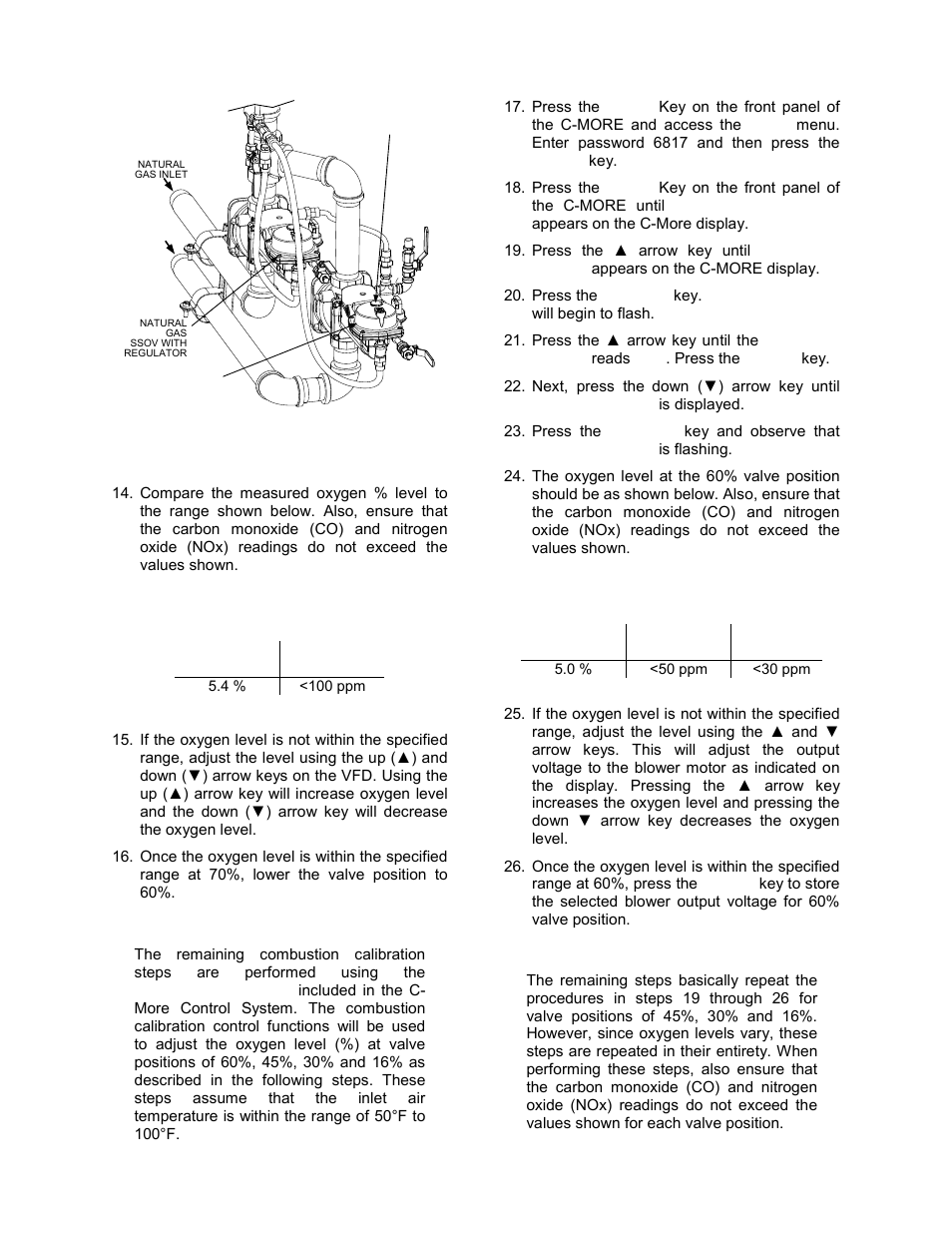 Initial start-up | AERCO BMK 1.5 LN Dual Fuel June 2010 User Manual | Page 39 / 139