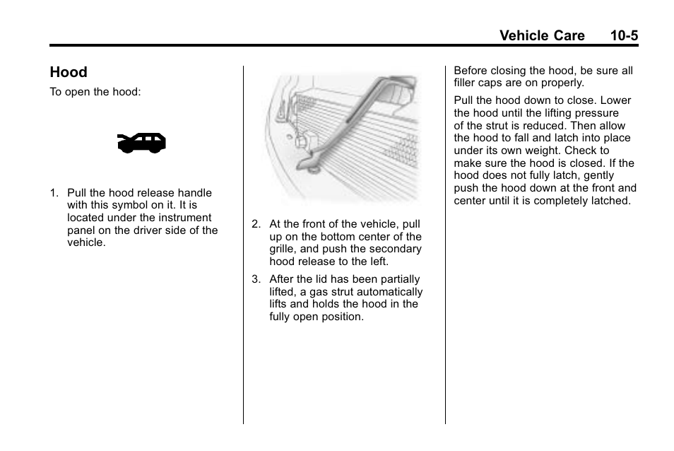Hood, Hood on, Hood -5 | Vehicle care 10-5 | Buick 2010 Enclave User Manual | Page 307 / 440