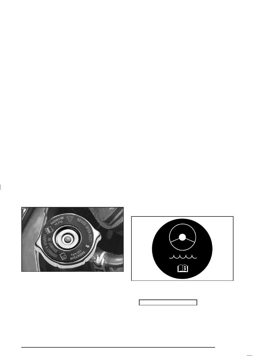 Power steering fluid, Power steering fluid -35, Power steering | Fluid | Buick 2004 Century User Manual | Page 247 / 358