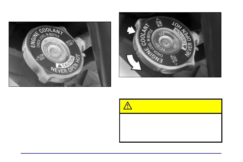 How to add coolant to the radiator, Caution | Buick 2002 Rendezvous User Manual | Page 321 / 455