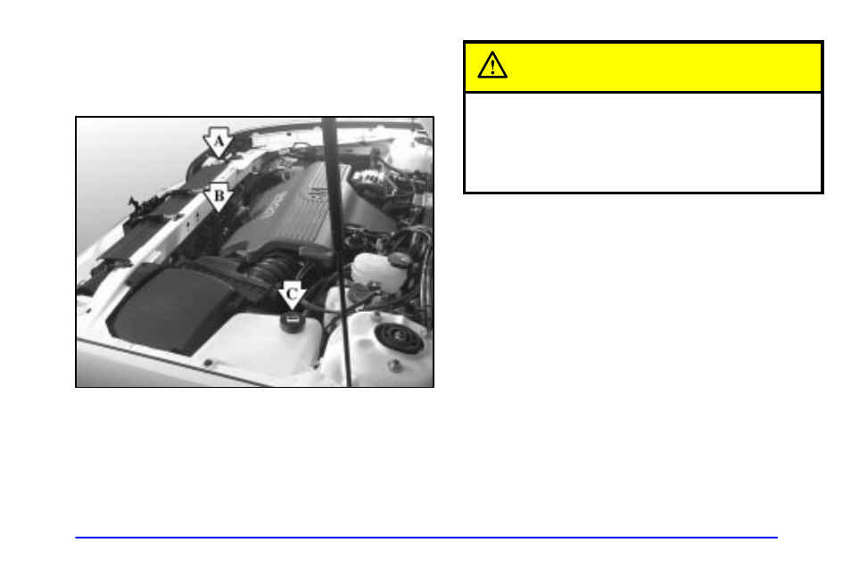 Cooling system, Caution | Buick 2002 Park Avenue User Manual | Page 244 / 395