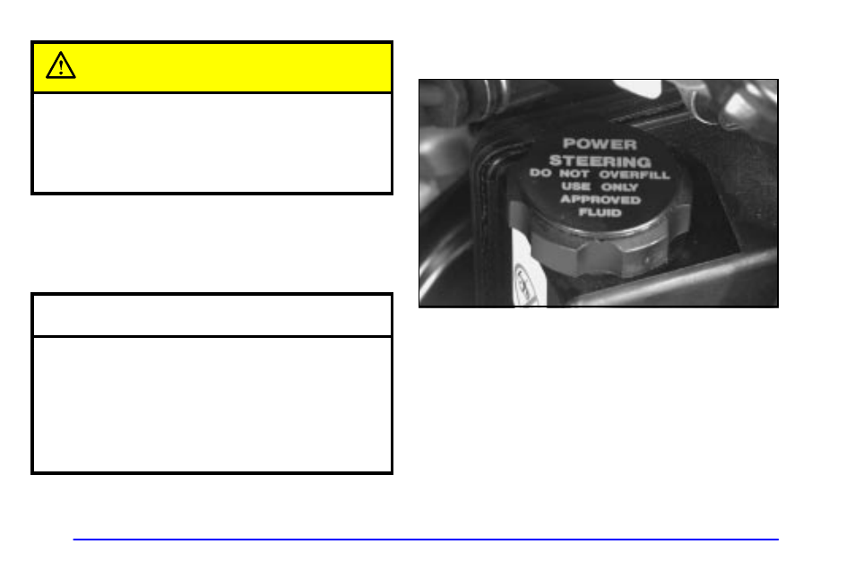 Radiator pressure cap, Power steering fluid, When to check power steering fluid | Caution, Radiator pressure cap notice | Buick 2002 Park Avenue User Manual | Page 292 / 395