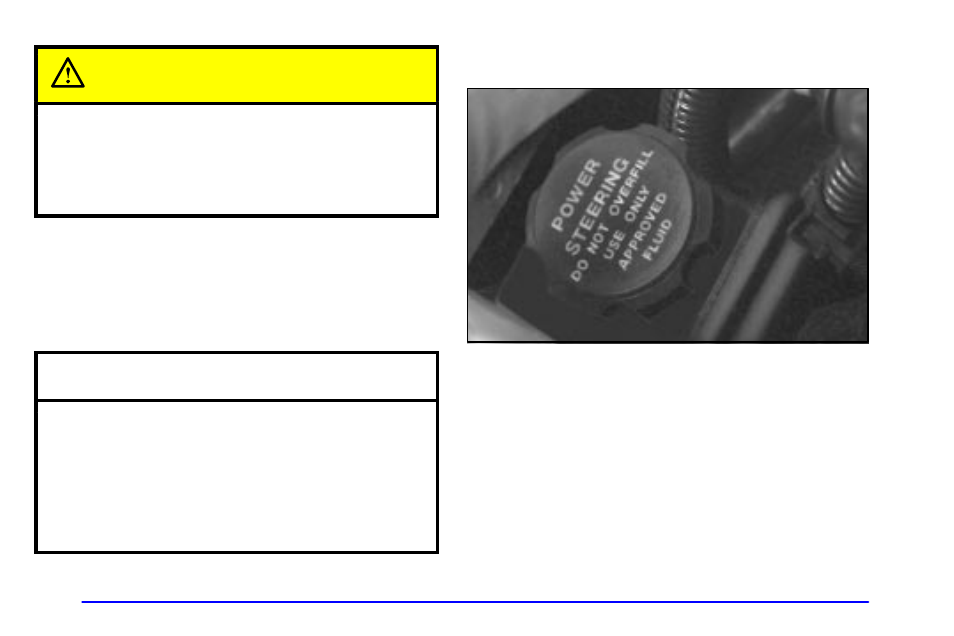 Radiator pressure cap, Power steering fluid | Buick 2000 Century User Manual | Page 266 / 344