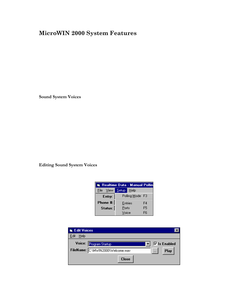Microwin 2000 system features, Microwin 2000 sound system | Microtel MicroWin 2000 User Manual | Page 46 / 110