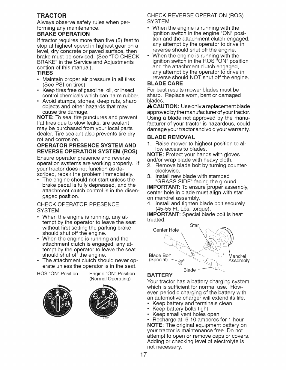 Tires, Blade care, Blade removal | Craftsman 917.28925 User Manual | Page 17 / 64