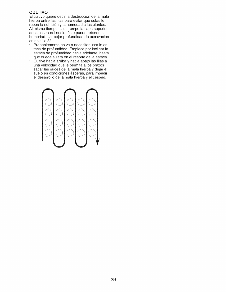 Cultivo | Craftsman 917.299210 User Manual | Page 29 / 48