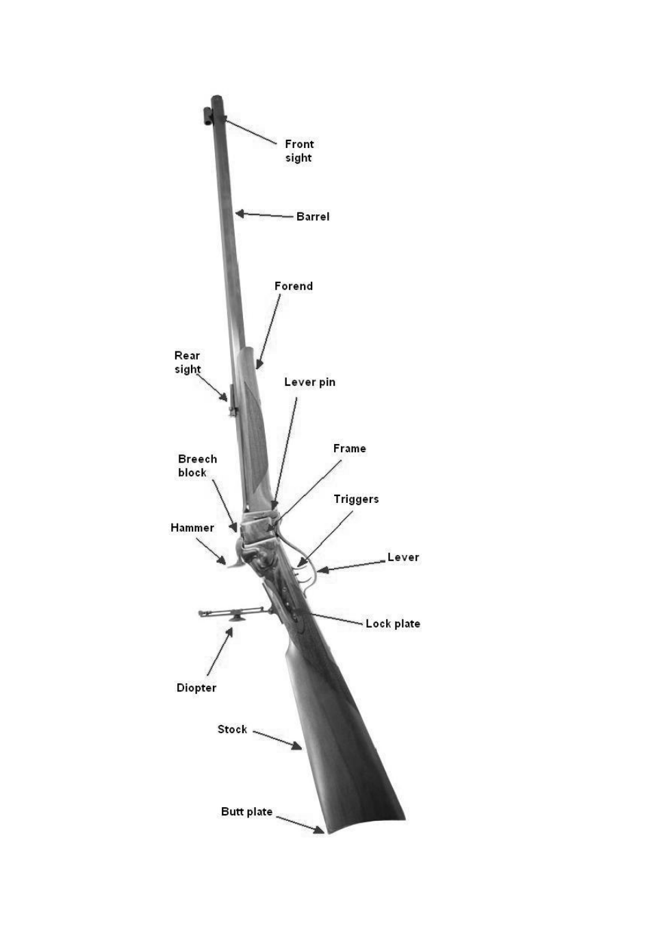 Basic parts of your rifle | Uberti 1874 Sharps Rifle User Manual | Page 8 / 24