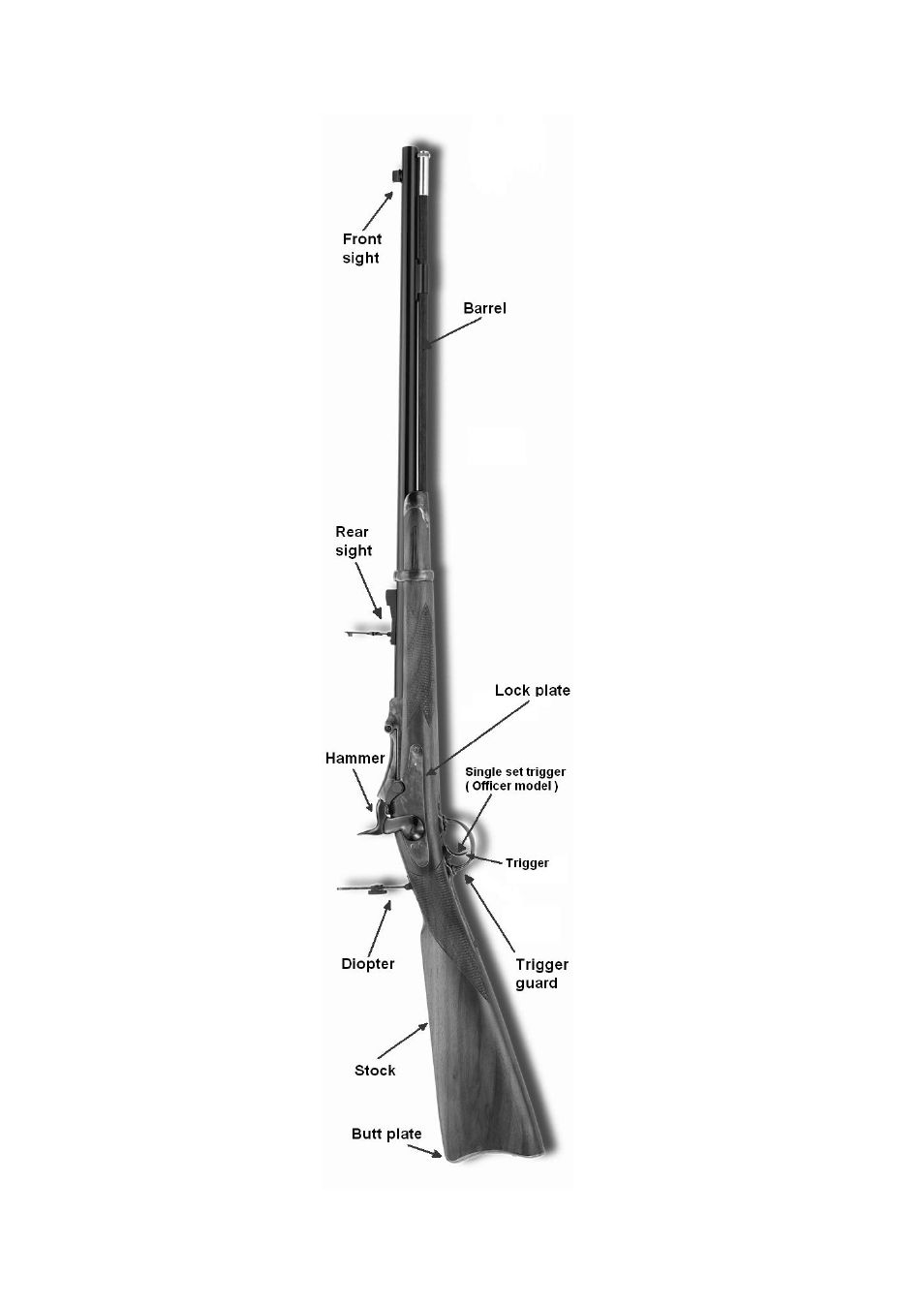 Basic parts of your rifle | Uberti Springfield Trapdoor Cartridge Rifle & Carbine User Manual | Page 8 / 31