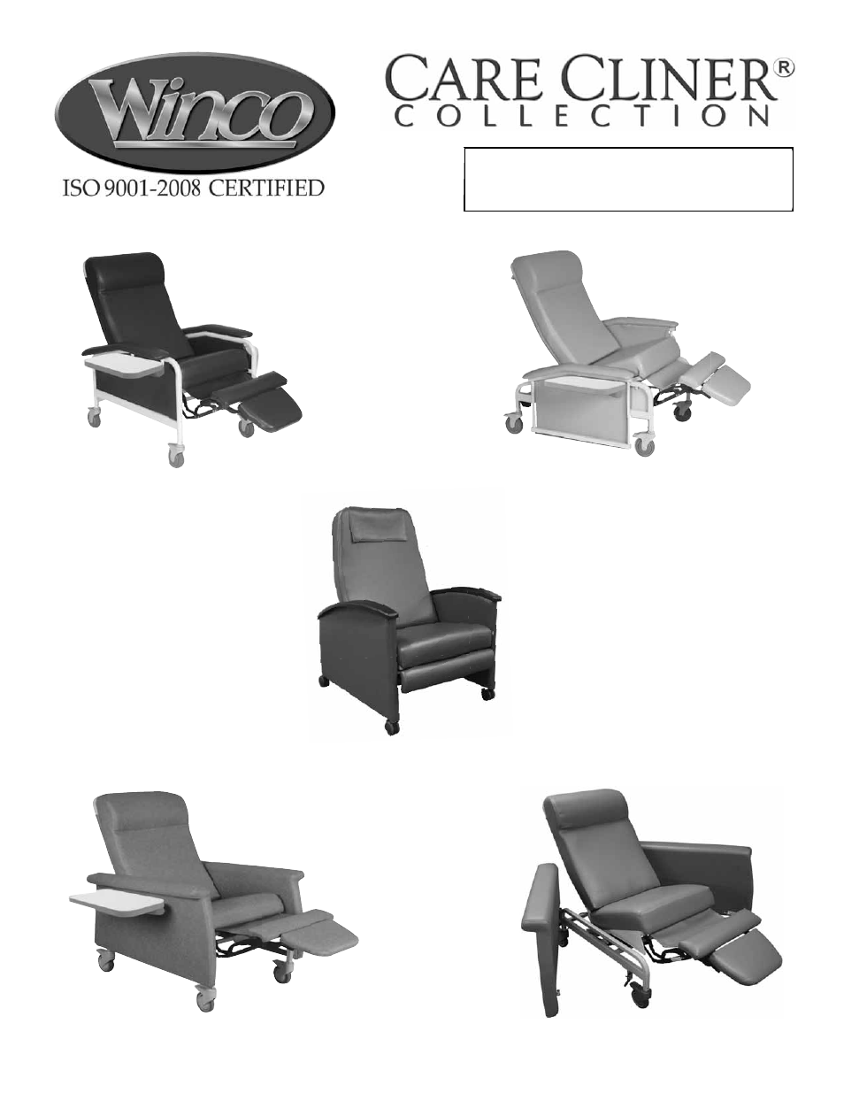 Winco Mfg. 6950 - Extra Large Swing Away Arm CareCliner User Manual | 16 pages