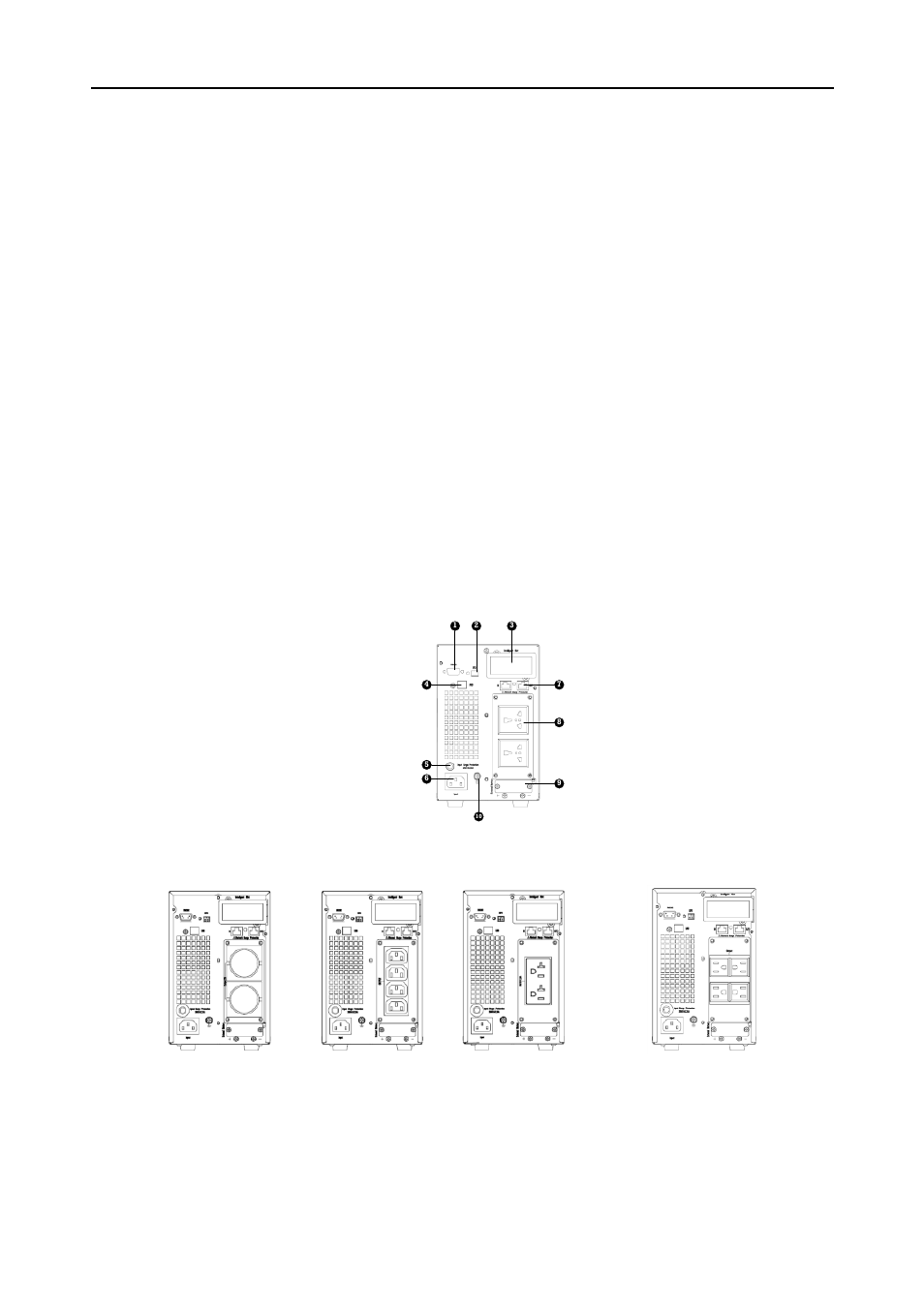 Introduction | OPTI-UPS DS3000I User Manual | Page 6 / 30