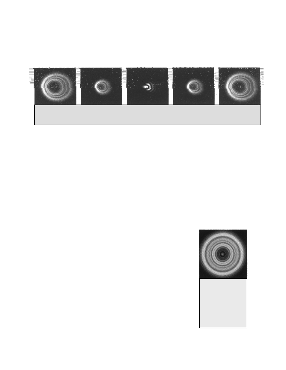 Celestron 52291 User Manual | Page 12 / 17