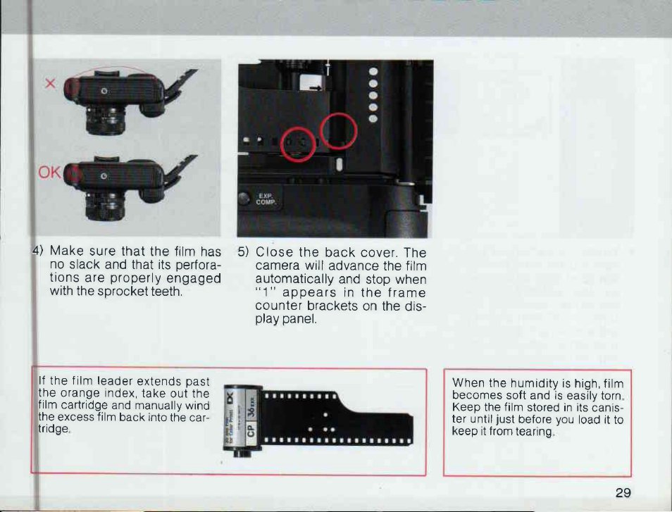 Confimi the viewfinder information and shoot | Canon T 90 User Manual | Page 31 / 218
