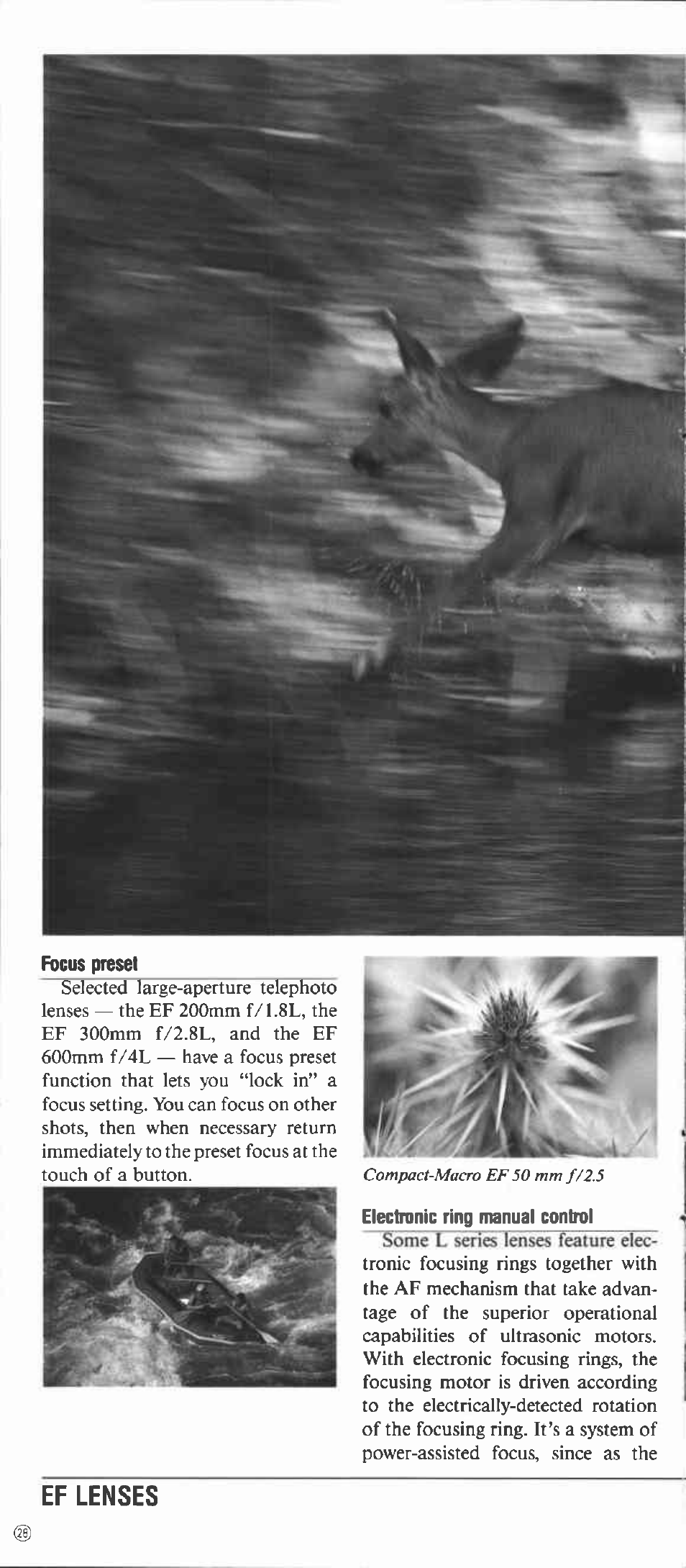 Focus preset, Electronic ring manual control, Ef lenses | Canon EOS-1 User Manual | Page 28 / 44