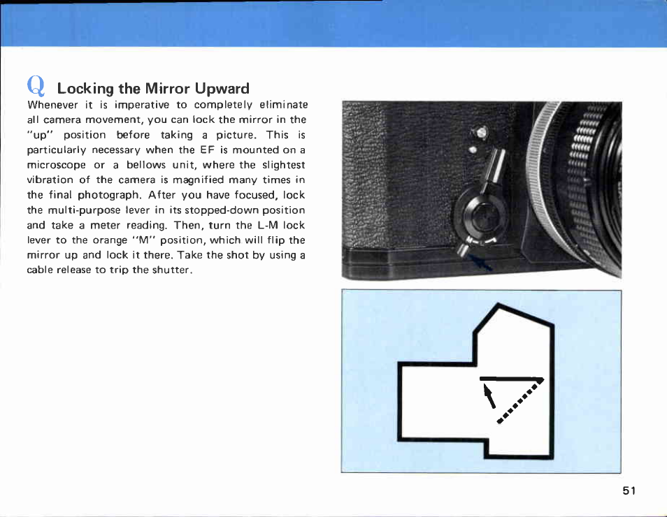 Viewing and focusing, Basic operation | Canon EF User Manual | Page 51 / 114