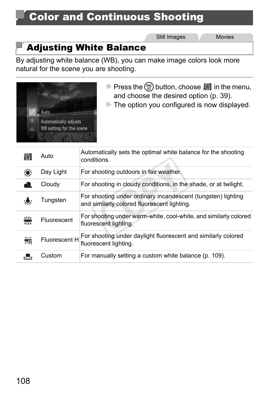 Cop y, Color and continuous shooting | Canon 500 HS User Manual | Page 107 / 217
