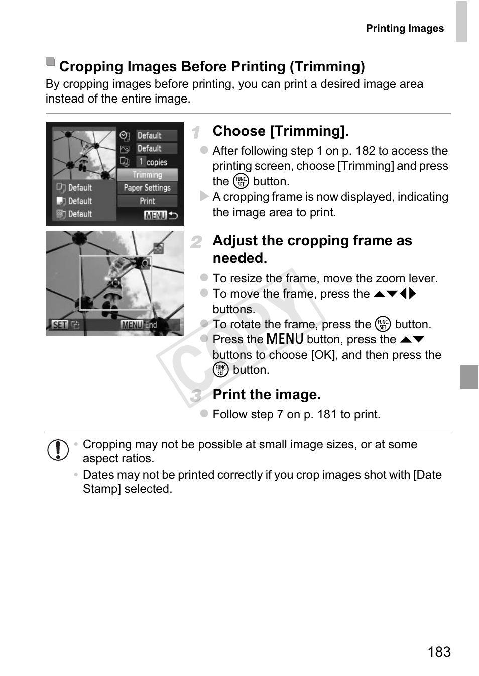 To print (p. 183), Cop y | Canon 500 HS User Manual | Page 182 / 217