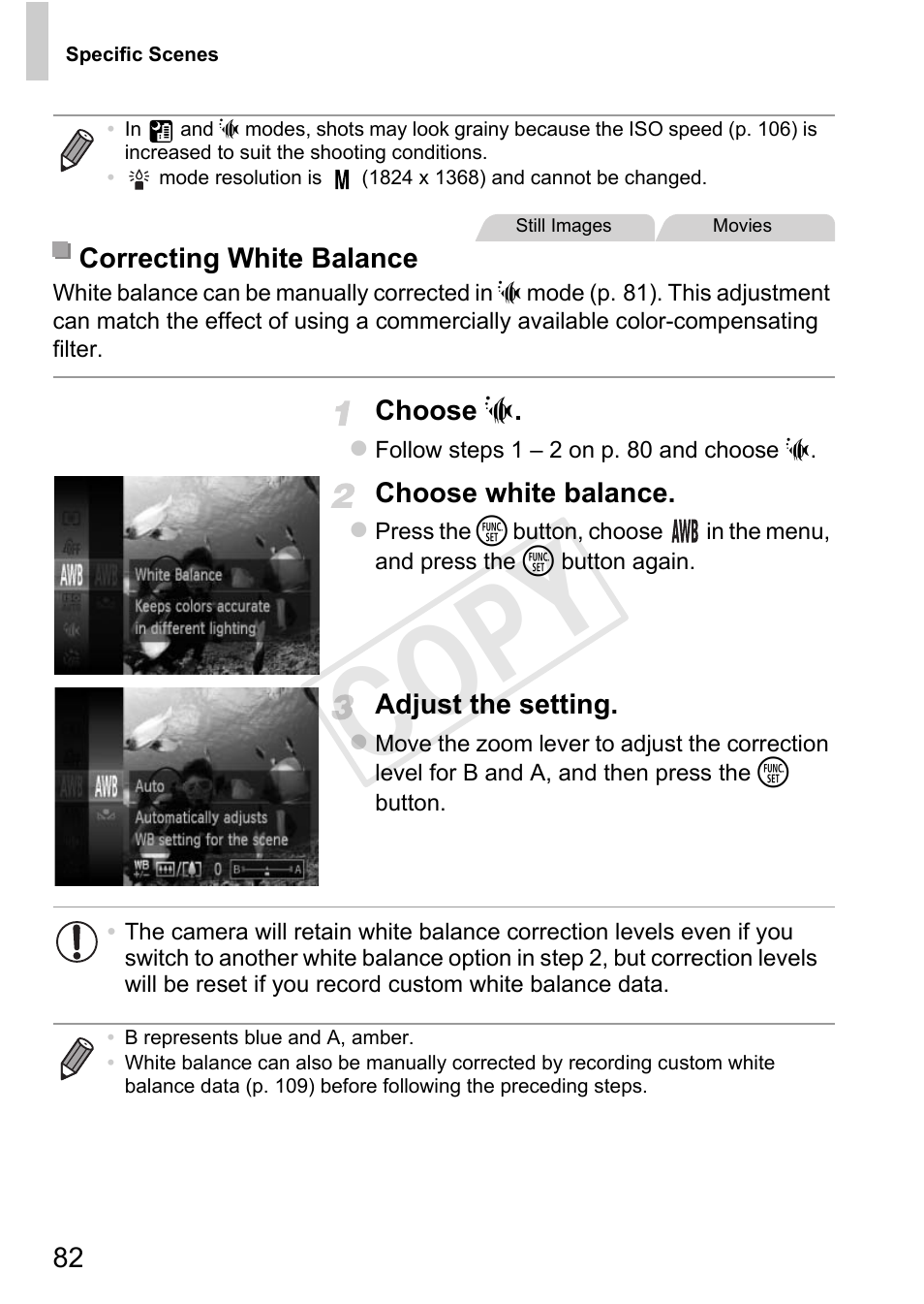 Cop y | Canon 500 HS User Manual | Page 81 / 217