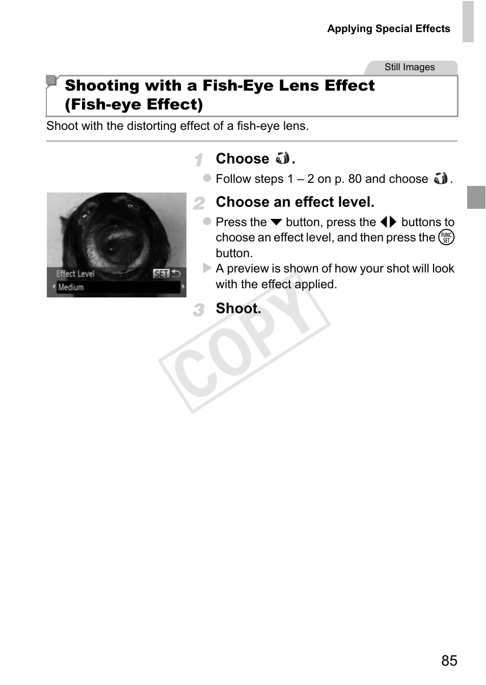 P. 85), Cop y | Canon 500 HS User Manual | Page 84 / 217