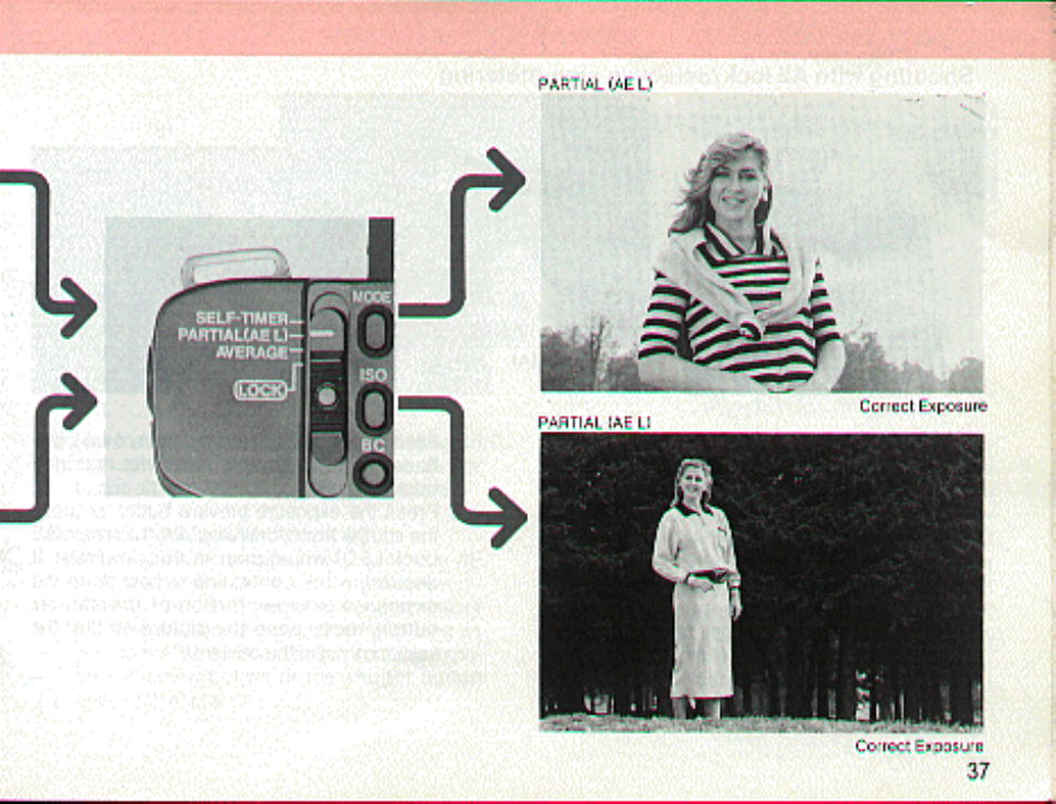 Viewfinder inforination | Canon T 70 User Manual | Page 37 / 116