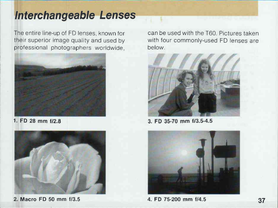 Canon T 60 User Manual | Page 39 / 85
